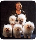 Carla Perondi and her lovely puppies